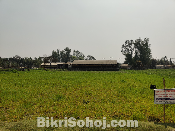 প্লট আকারে ১০ শতক জমি বিক্রি করা হবে